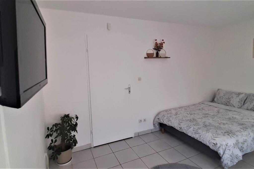 Studio Charmant Et Moderne Grand Confort Toulouse Dış mekan fotoğraf